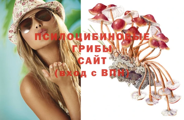 mdma Гусев